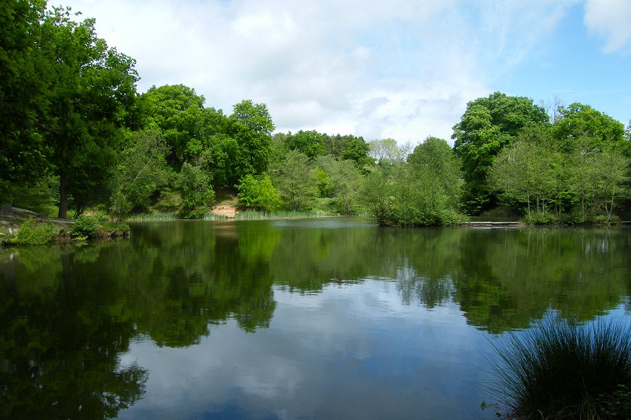 Springwood Spring Pool