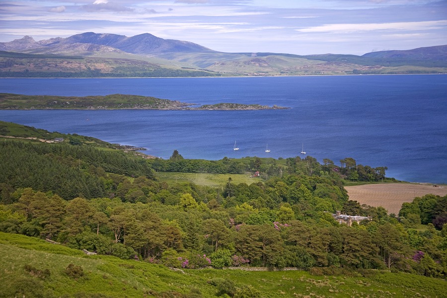 Torrisdale Views