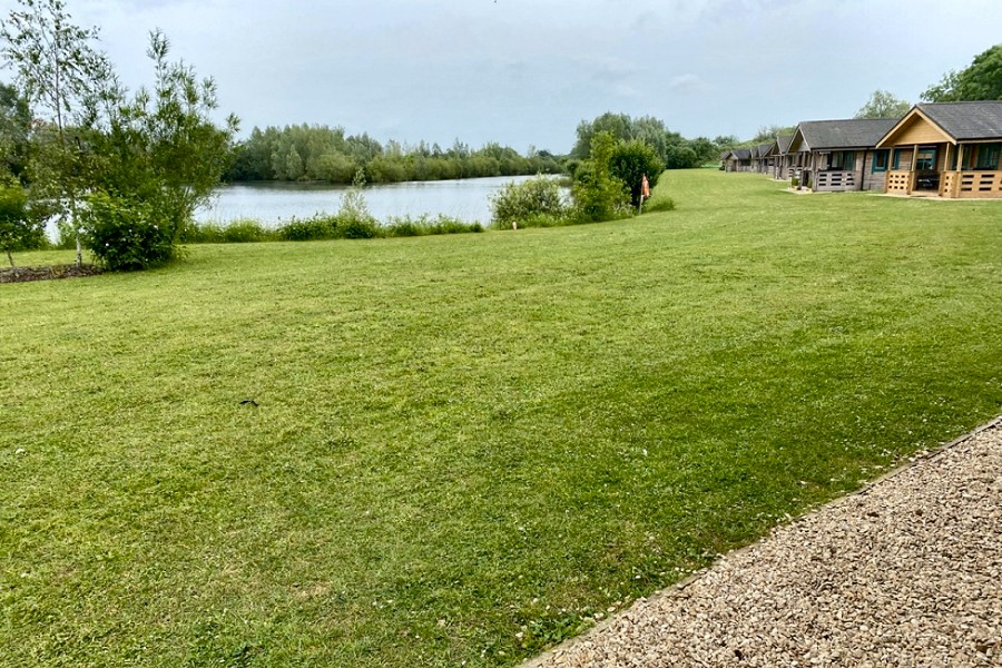 Lake Pochard Tufty Lodge Views