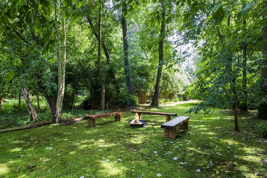 Two Willows Fire Pit Area