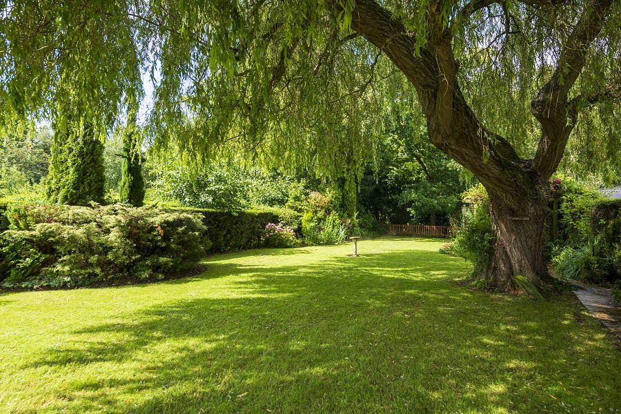 Two Willows Garden Area