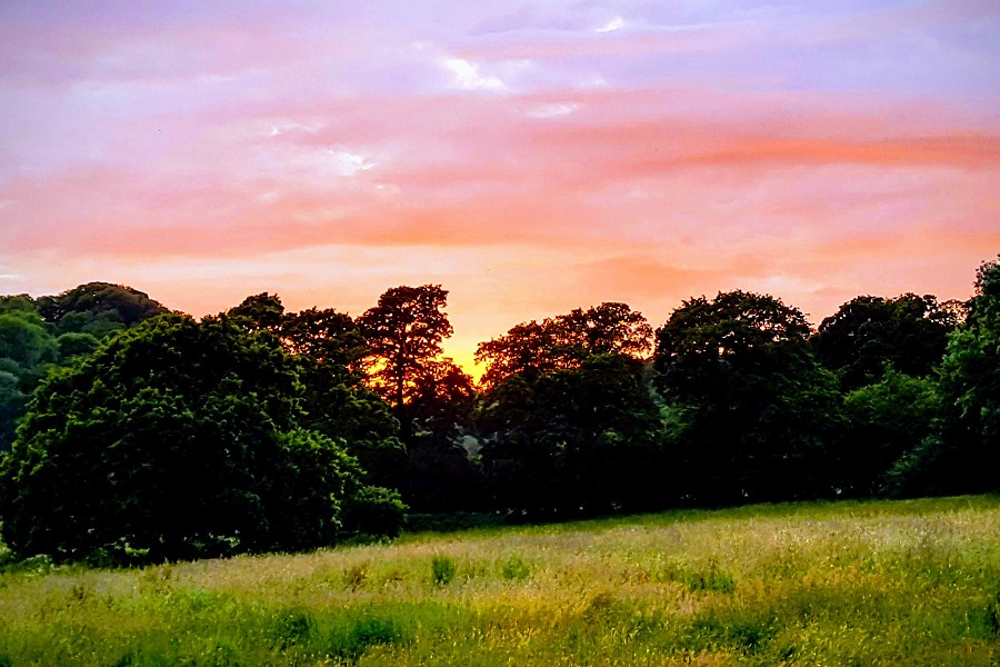 The Unicorn Stable Surroundings