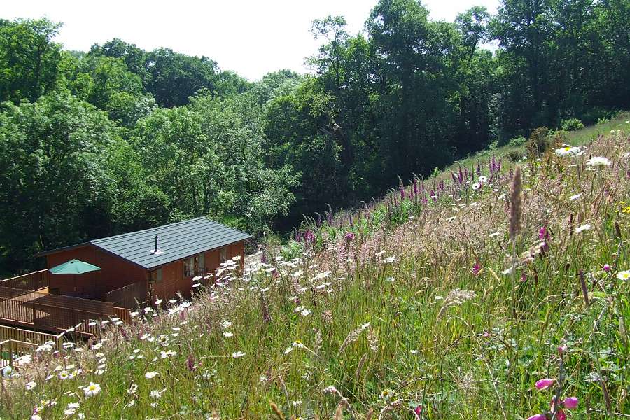 Mallard Lodge From Hillside