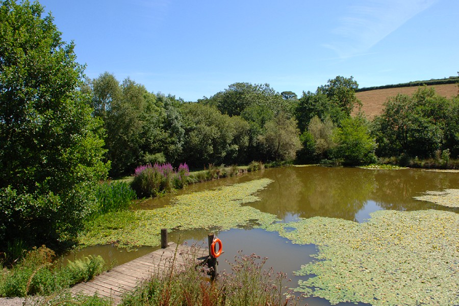 South View Fishing