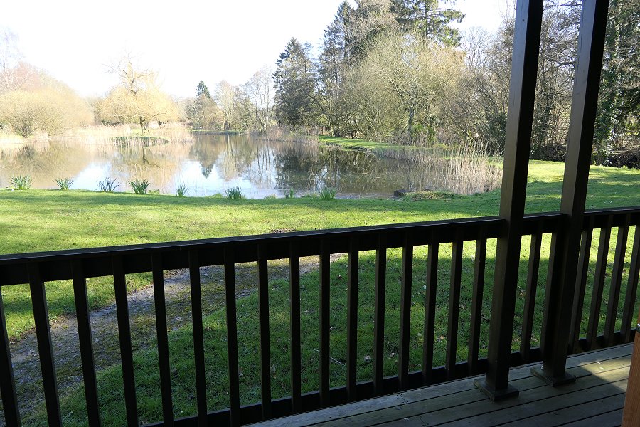 Willowbank River Birch Veranda View