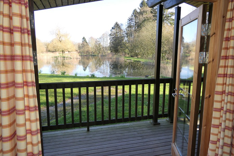 Willowbank River Birch Veranda View