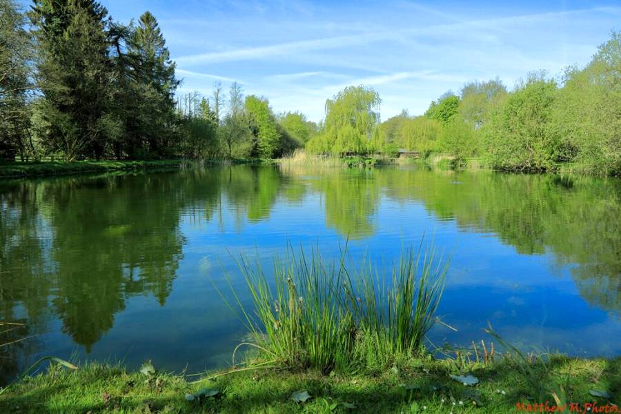 Willowbank Lake