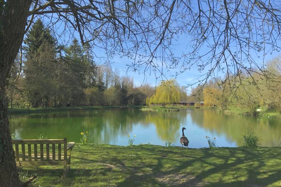 Willowbank Lake