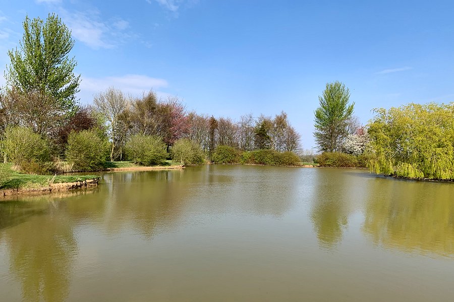 Willow Lakes Fishing Lake