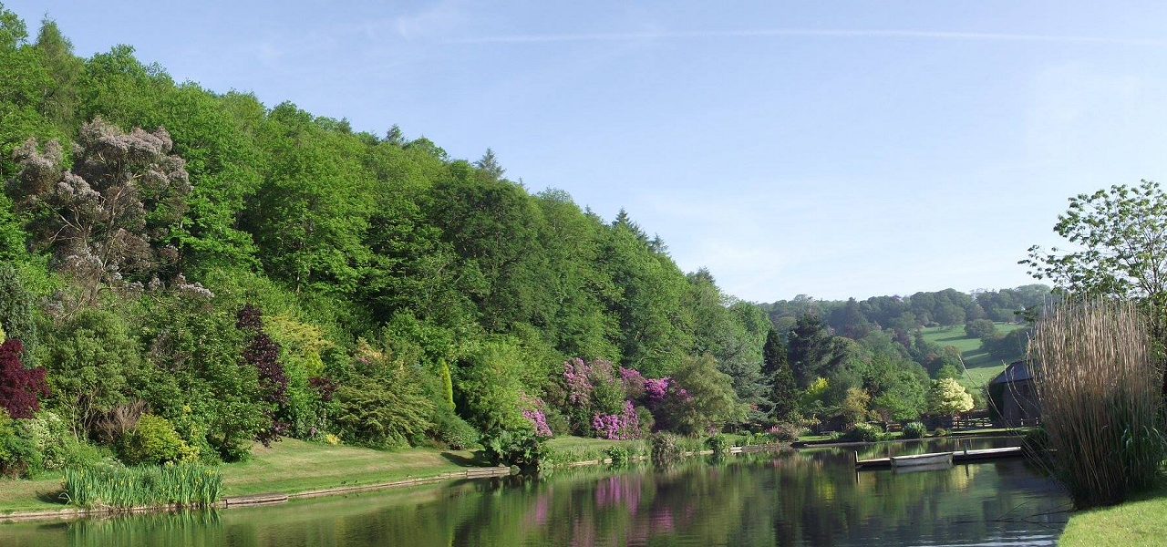 Malston Mill lakes in Devon