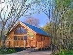Loch Awe Woodland Cabins - Dalavich, Loch Awe, Scottish Highlands