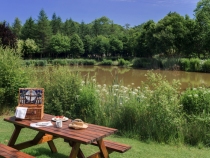 Park Mill Farm, Devon - Fishing lake and river fishing