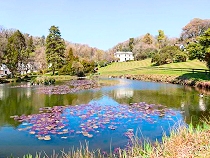 Rosecraddoc Manor Cottages, Liskeard, Cornwall